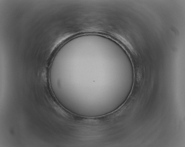 X0000116841356200912241220