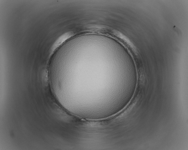 X0000116841362200912241220