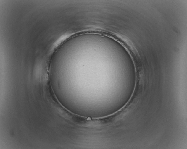 X0000116841363200912241220