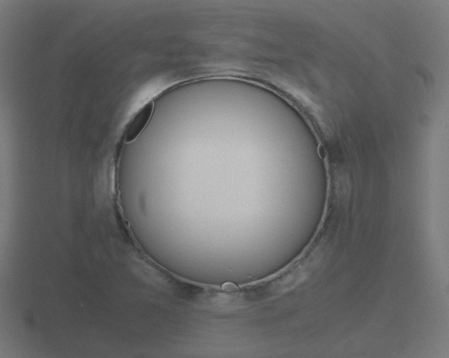 X0000116841365200912241220
