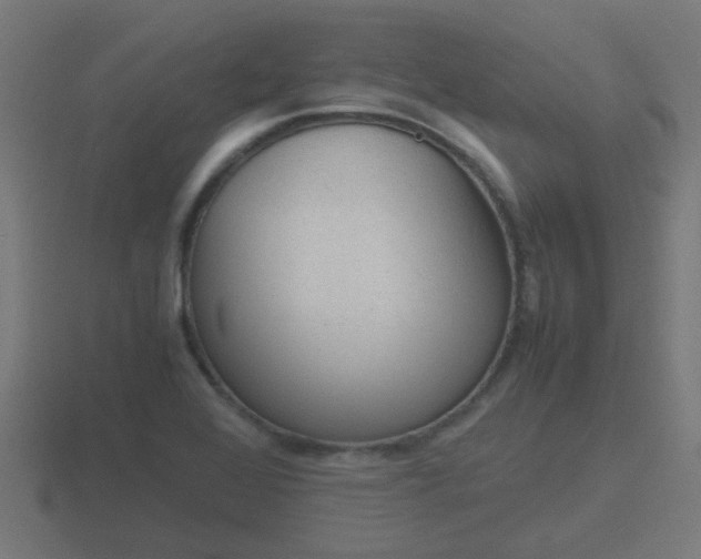 X0000116841368200912241220