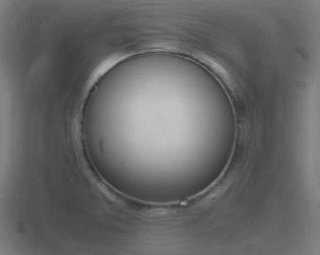 X0000116841373200912241220