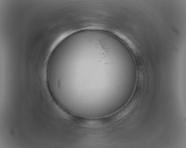 X0000116841375200912241220
