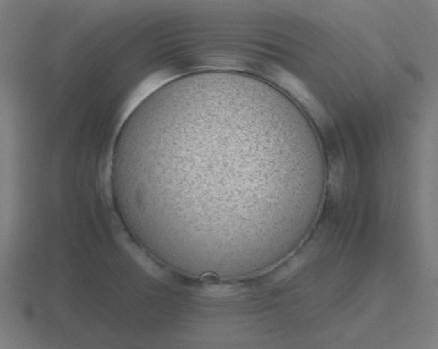 X0000116841378200912241220