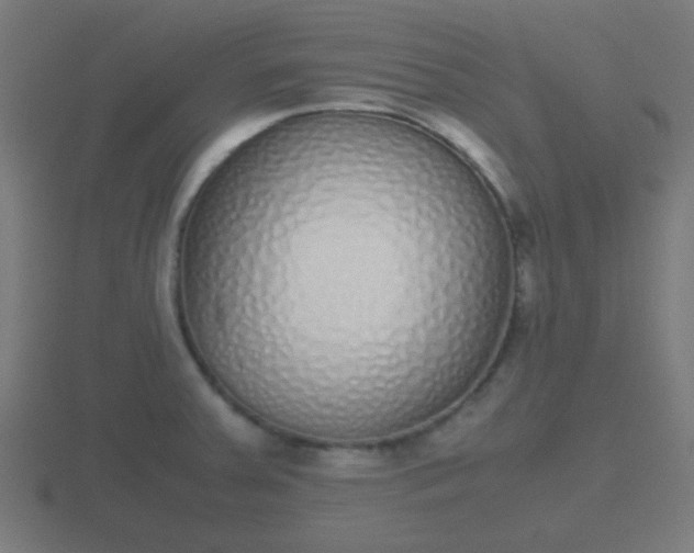 X0000116841379200912241220