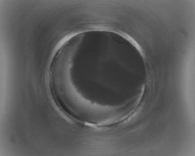 X0000116841381200912241220