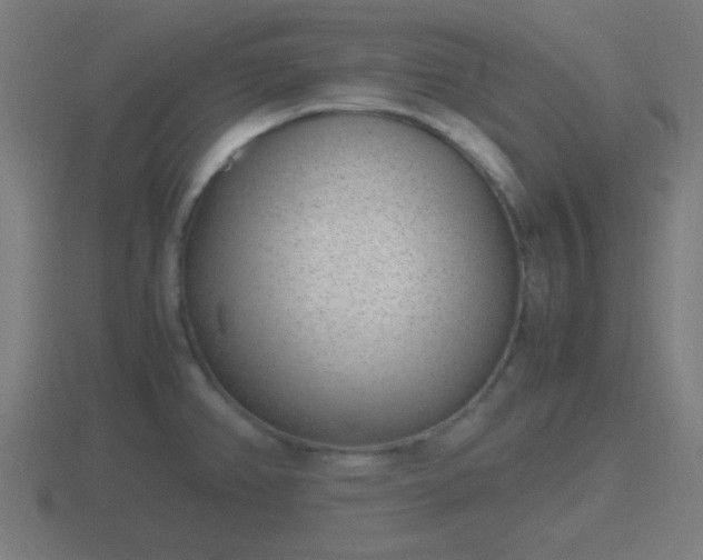 X0000116841382200912241220