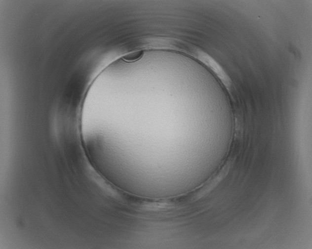 X0000116841386200912241220