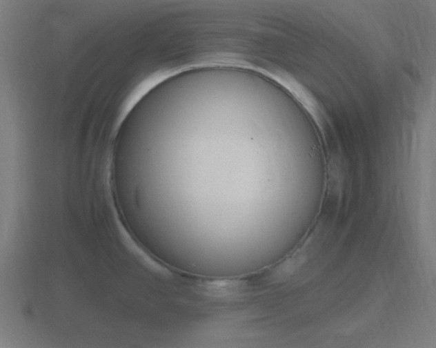 X0000116841390200912241219