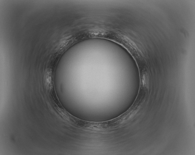 X0000116841396200912241219