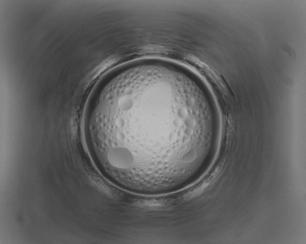 X0000116841401200912241219
