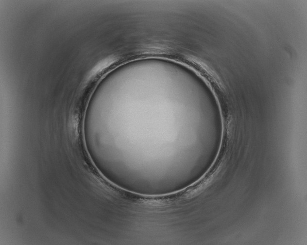X0000116841402200912241219