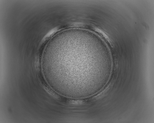 X0000116841403200912241219