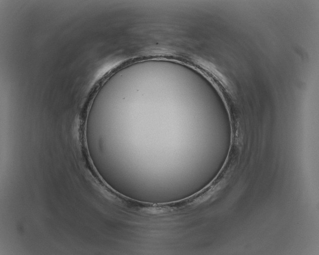 X0000116841404200912241219