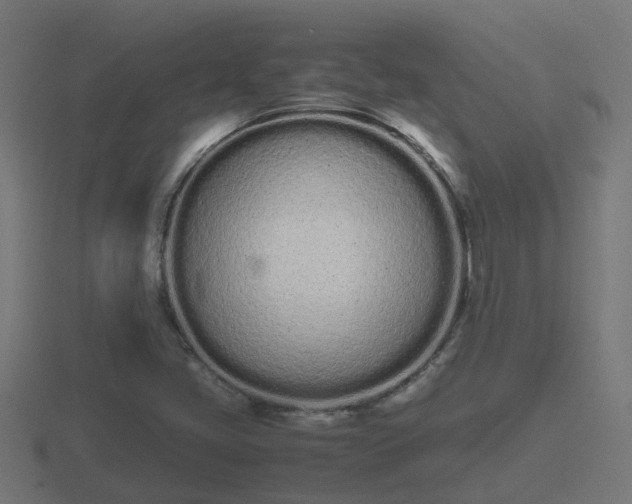 X0000116841405200912241219