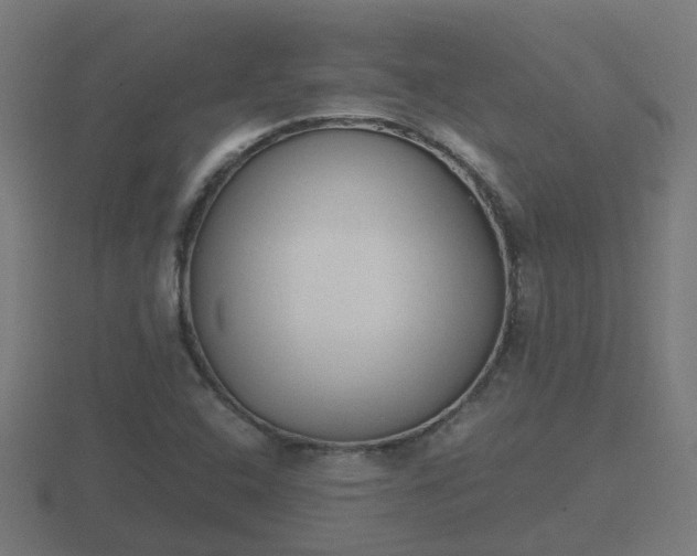 X0000116841408200912241219