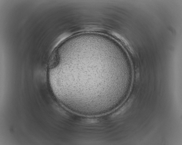 X0000116841409200912241219