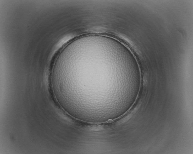 X0000116841410200912241219