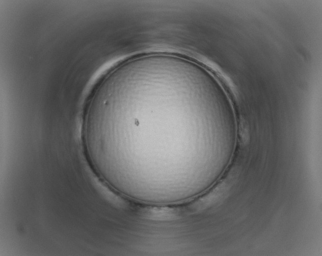X0000116841416200912241219
