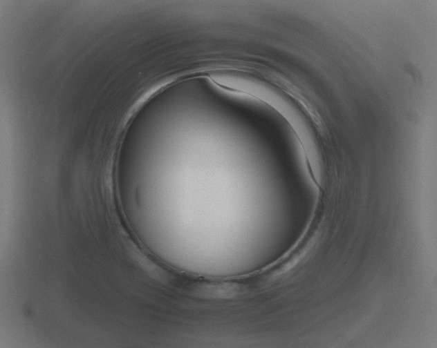 X0000116841417200912241219
