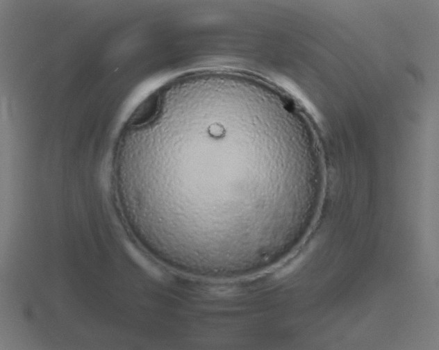 X0000116841421200912241219