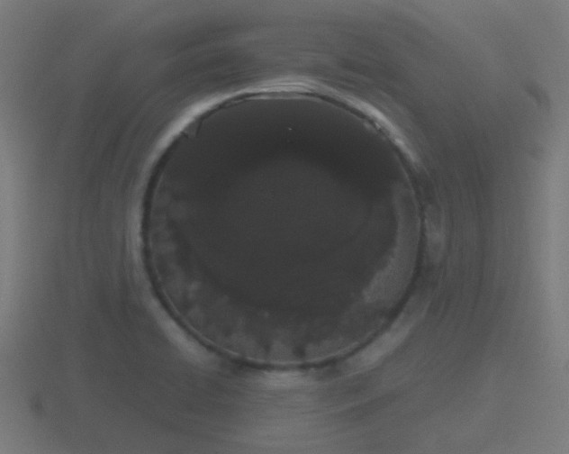X0000116841422200912241219
