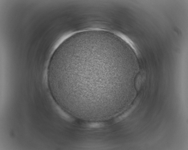 X0000116841423200912241219