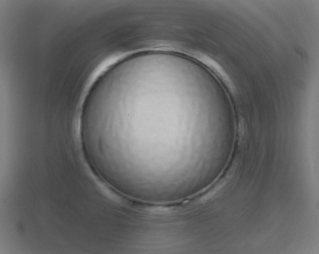 X0000116841424200912241219