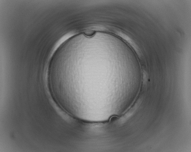 X0000116841426200912241219