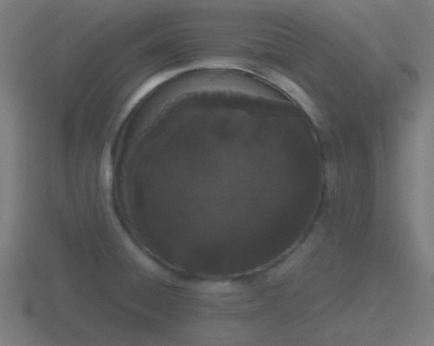 X0000116841428200912241219