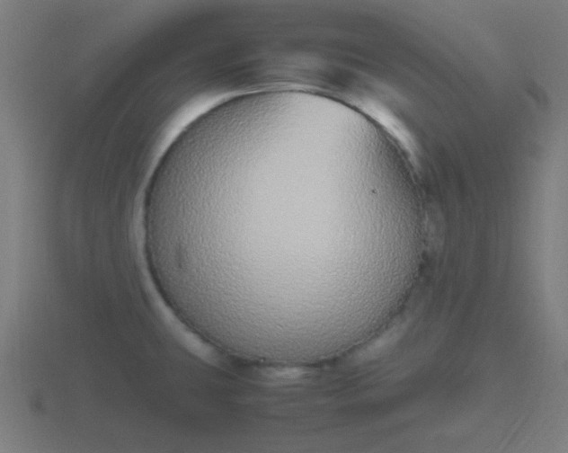 X0000116841431200912241219