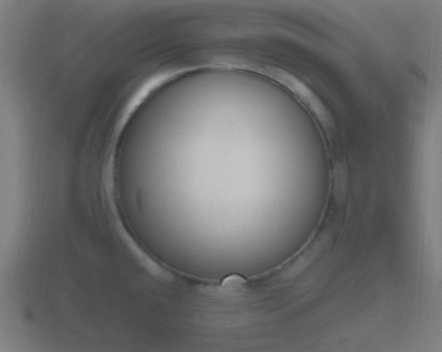X0000116841432200912241219