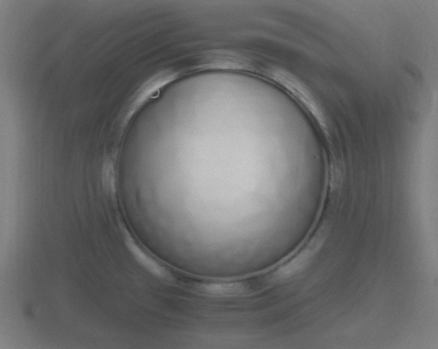 X0000116841433200912241219