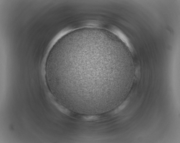 X0000116841435200912241219