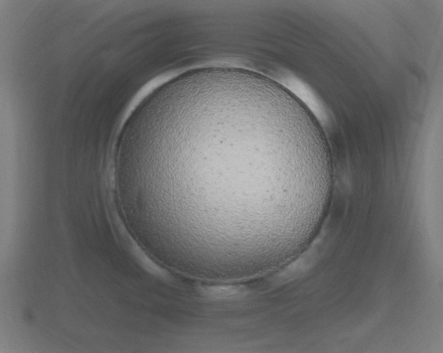 X0000116841436200912241219