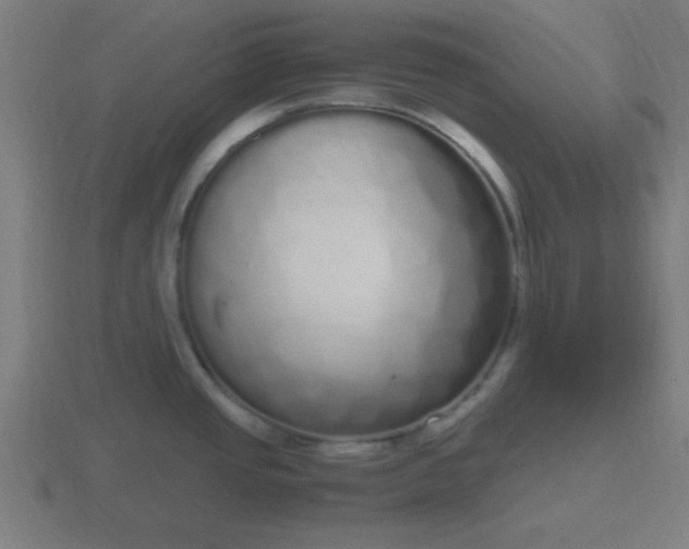 X0000116841437200912241219