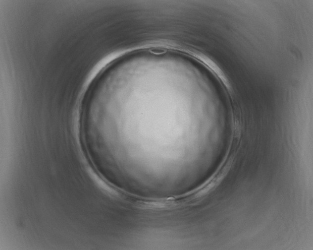X0000116841438200912241219