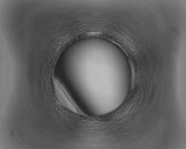 X0000116841441200912241219