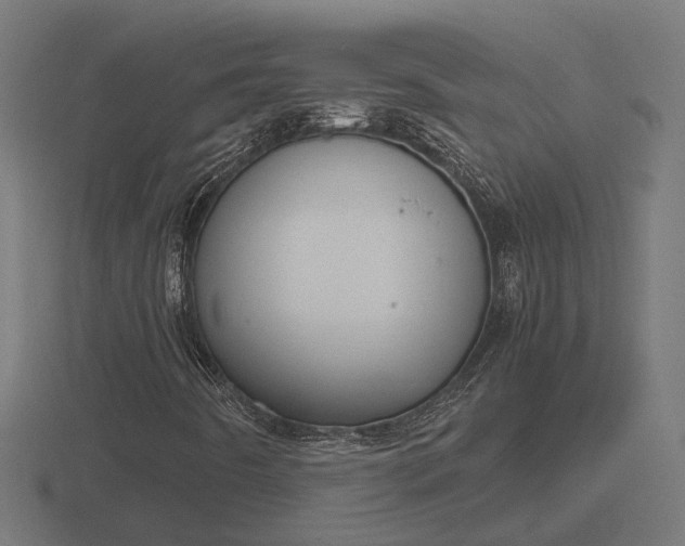 X0000116841442200912241219
