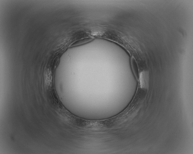 X0000116841443200912241219
