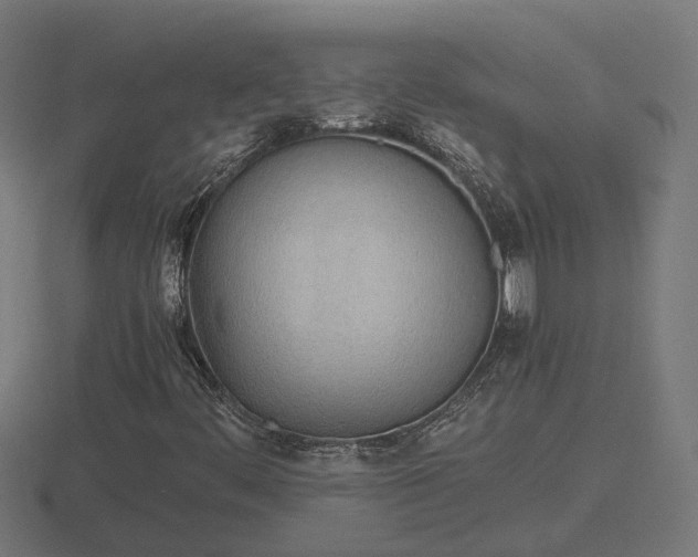 X0000116841444200912241219