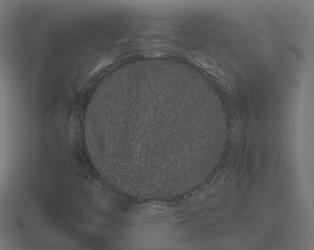 X0000116841446200912241219