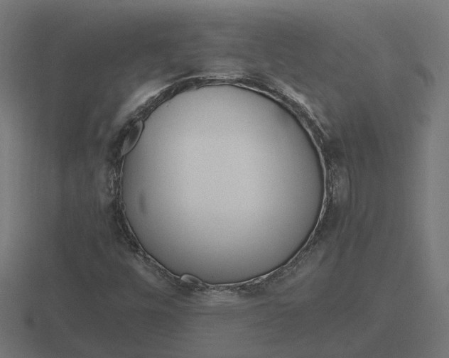X0000116841448200912241219