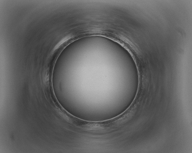 X0000116841450200912241219