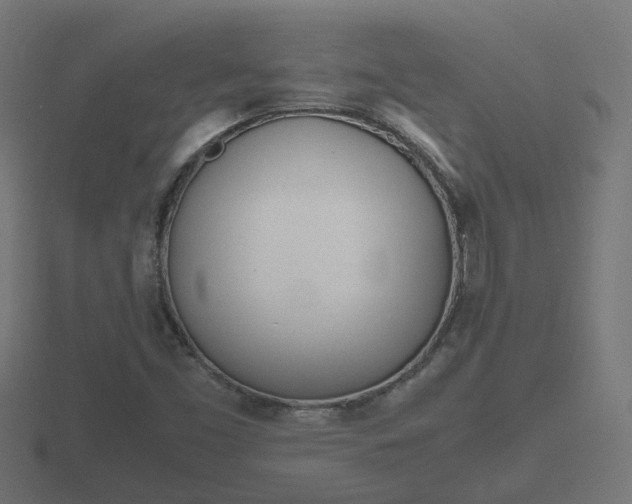 X0000116841453200912241219