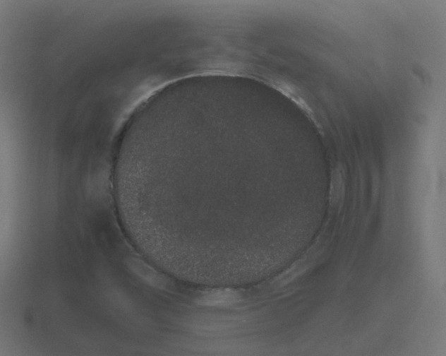 X0000116841454200912241219