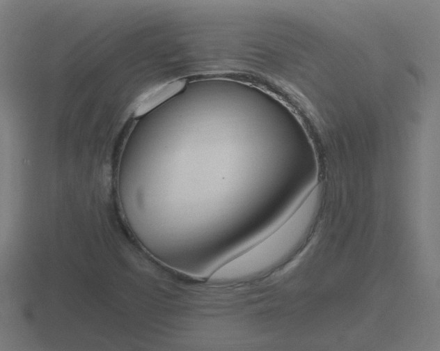 X0000116841457200912241219