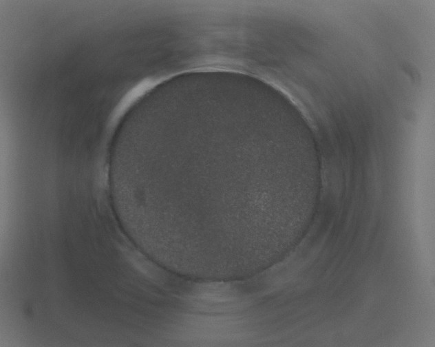 X0000116841462200912241219