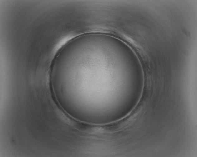 X0000116841463200912241219