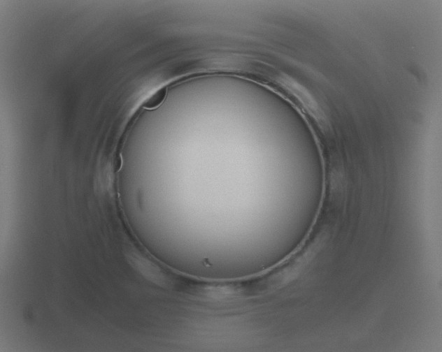 X0000116841465200912241219
